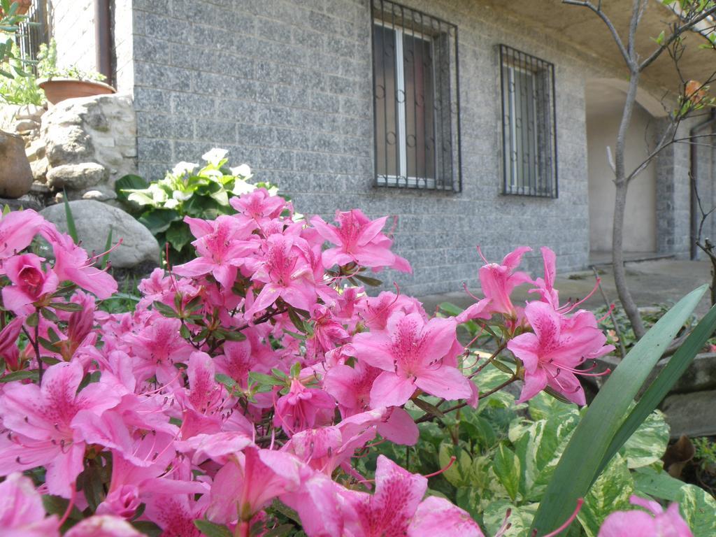 B&B Villa Mirella Casnate Con Bernate Exterior foto
