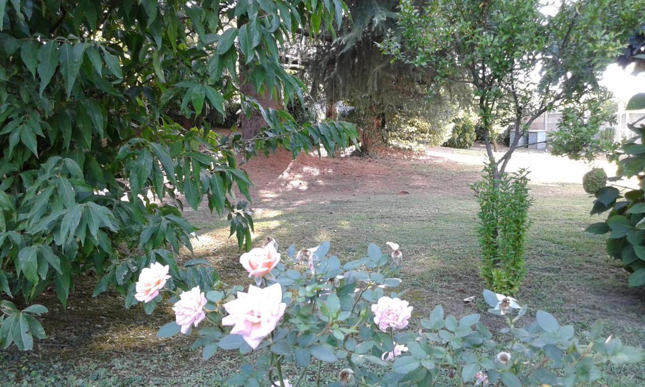 B&B Villa Mirella Casnate Con Bernate Exterior foto